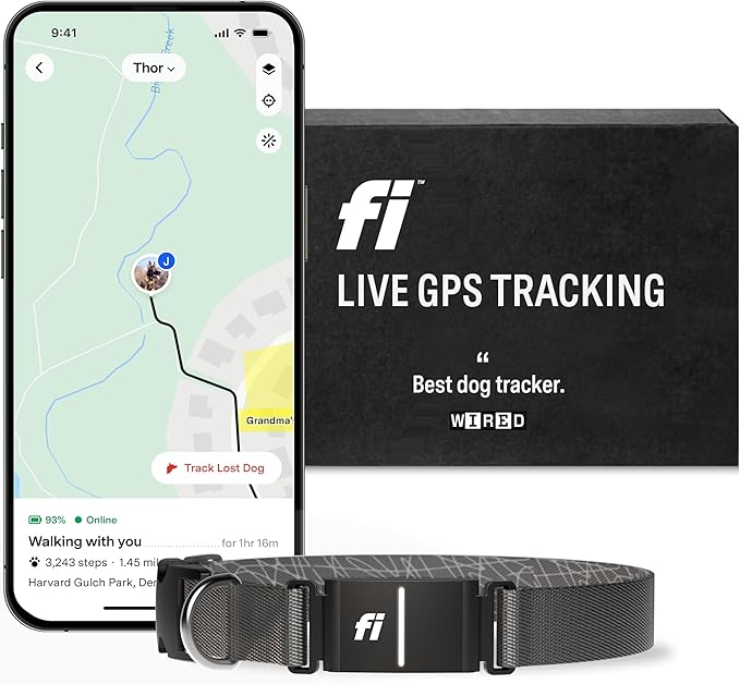 Fi Series 3 Smart Dog Collar - GPS Dog Tracker and Activity & Fitness Monitor, Waterproof, LED Light, Escape Alerts, Nationwide Coverage [Free 1 Year Membership] (Gray, Medium)