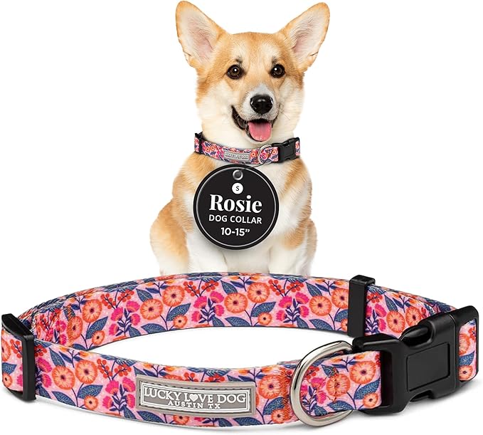 Lucky Love Dog - Adjustable Dog Collar with Easy Click Buckle for Small to Large Ones, Durable, & Comfortable for Male & Female Dogs, Pet Collar for Puppies & Adult Dogs - Rosie, Small