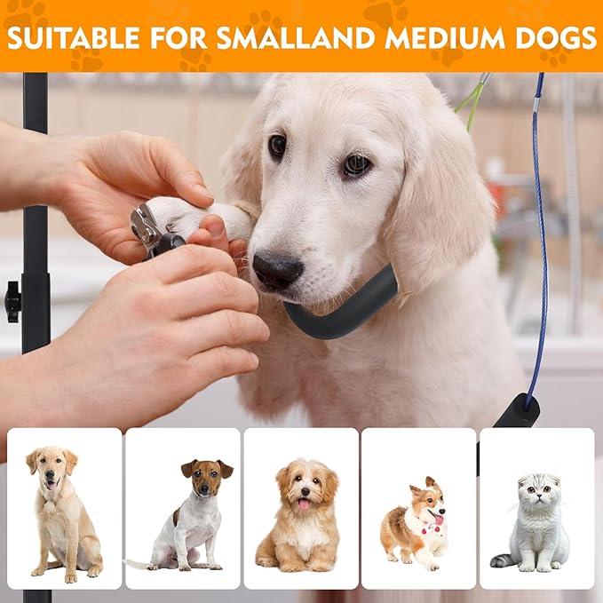 Dog Grooming Arm, 29" Height Adjustable Pet Grooming Arm with Clamp for Small and Medium Dogs,Grooming Loop and No Sit Haunch Holder