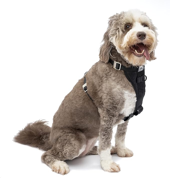 Kurgo Enhanced Strength Tru-Fit Dog Car Harness - Pet Travel Safety Harness - Crash Test Certified Fit - Five Point Adjustment - Secure Buckle - Padded Chest - Black - Large