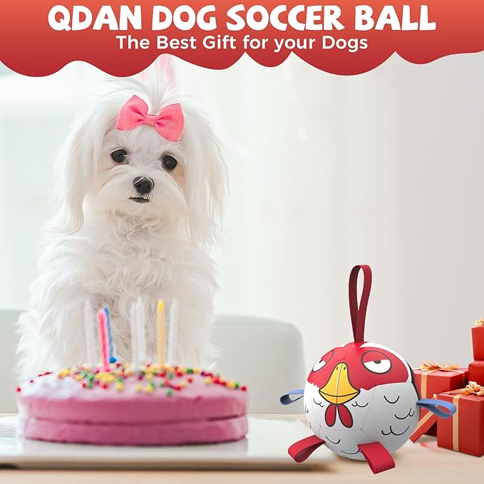 QDAN Dog Toy Balls: Pet Training Soccer Ball Dog Toy with Straps- Puppy Extra Small Dog Balls Beach Pool, Dogs Herding Ball, (5 Inch)