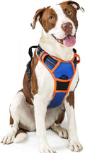 rabbitgoo Dog Harness No Pull with 2 Leash Clips, Adjustable Soft Padded, Reflective Oxford No Choke Pet Vest with Easy Control Handle for Large Dogs, Blue & Orange, L