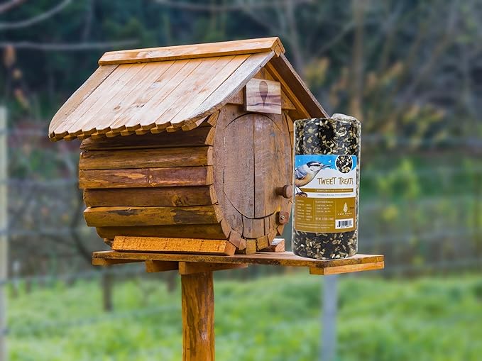 Birdseed Cylinders with Hole - Bird Seed for Outside Wild Birds (Small Cylinder, Tweet Treats 2pc)