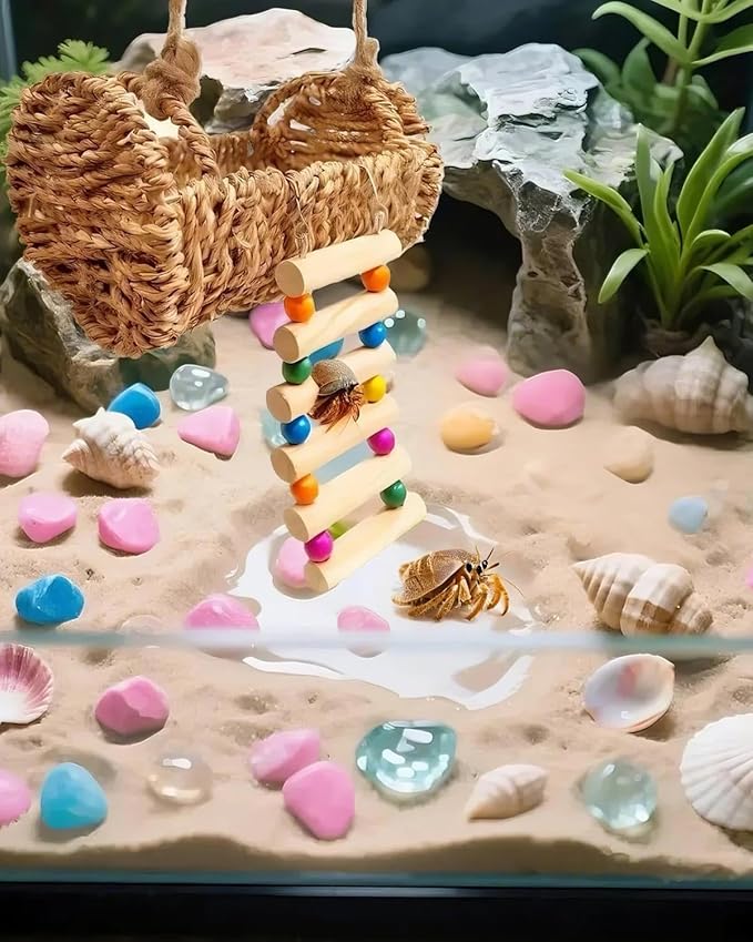 Hermit Crab Hideout with Natural Wood Ladder - Aquarium Climbing Bridge Ramp for Small Animals - Habitat Accessory for Crabs,Hamsters,Birds