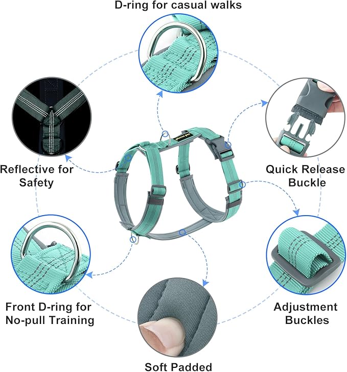 Plutus Pet No Pull Dog Harness, Adjustable Nylon Harness with Soft Padding, Reflective and Heavy Duty Dog Harness for Small, Medium, Large Dogs(Teal, L)