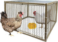 15" H Chicken Pigeon Trap Cage Birdcage Small Animal Trap Cage with Escape-Proof Design for Bird Turkey Duck Dove (23.6" L x 23.6" W x 15.7" H)