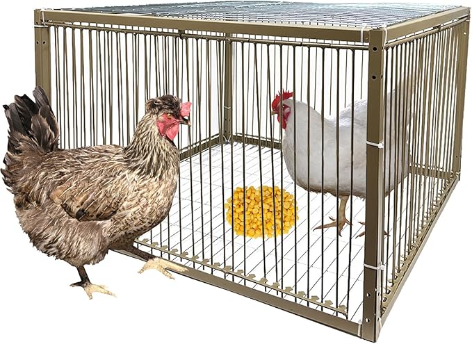 15" H Chicken Pigeon Trap Cage Birdcage Small Animal Trap Cage with Escape-Proof Design for Bird Turkey Duck Dove (23.6" L x 23.6" W x 15.7" H)