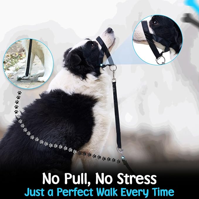 Gentle Leader for Dogs + 2X Dog Training Clicker – Gentle Leader with Quick-Snap Neck Strap & Nose Loop – Bonus Clickers with Wrist Strap for Obedience & Leash Training