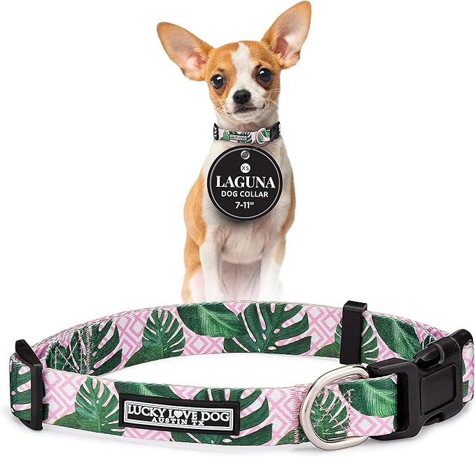 Lucky Love Dog - Adjustable Dog Collar with Easy Click Buckle for Small to Large Ones, Durable, & Comfortable for Male & Female Dogs, Pet Collar for Puppies & Adult Dogs - Laguna, XS