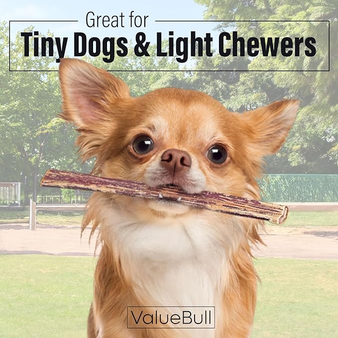 ValueBull Bully Sticks for Small Dogs, Extra Thin 6 Inch, 200 Count Bulk Pack - All Natural, Grass Fed, Single Ingredient, Long Lasting Dog Treats