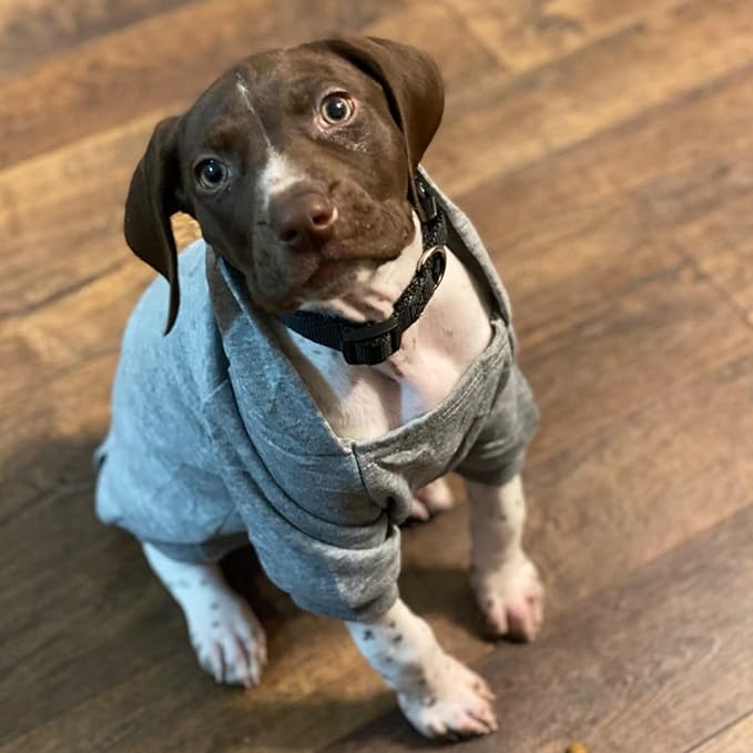 Jecikelon Winter Dog Hoodie Sweatshirts with Pockets Warm Dog Clothes for Small Dogs Chihuahua Coat Clothing Puppy Cat Custume (Grey, Small)