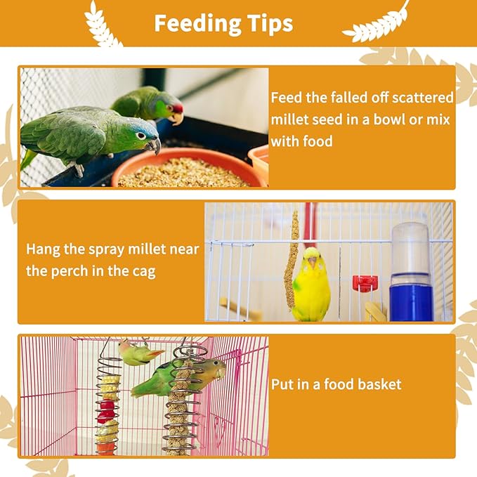 kathson Spray Millet Treat Sun-Dried Bird Millet Parakeet Treats for Budgies Finches Cockatiels Parrots Lovebird Hamster Other Pet Birds 0.44LB