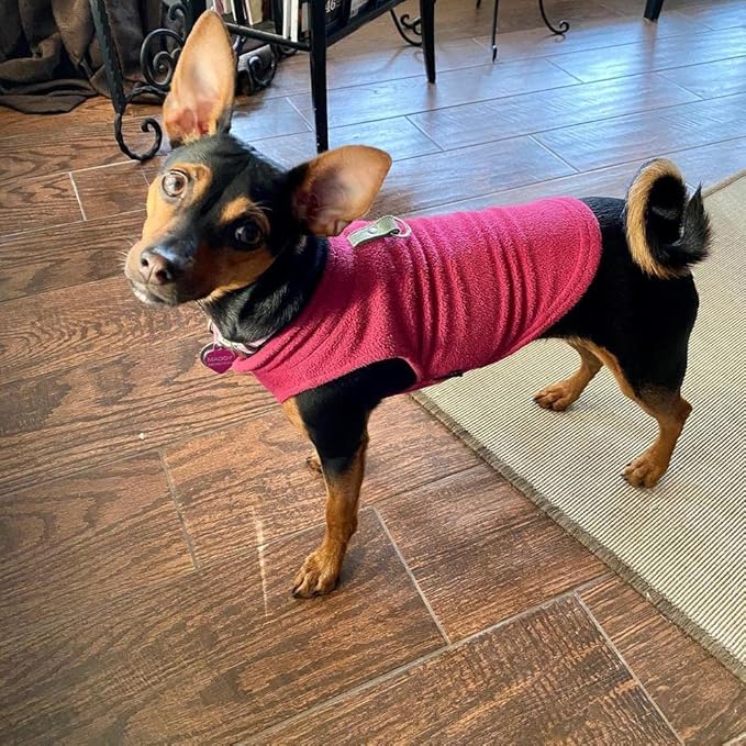 Gooby - Fleece Vest, Small Dog Pullover Fleece Jacket with Leash Ring, Fuchsia, Small