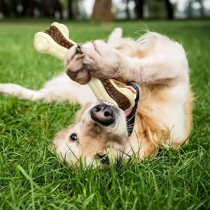 Sosation Bones Shaped Dog Toys for Aggressive Chewers, 2 Pack Dog Chew Toys Puppy Teething Nylon Beef Flavor for Large/Medium/Small Puppies Breeds(Curved Bone,Large, Small)