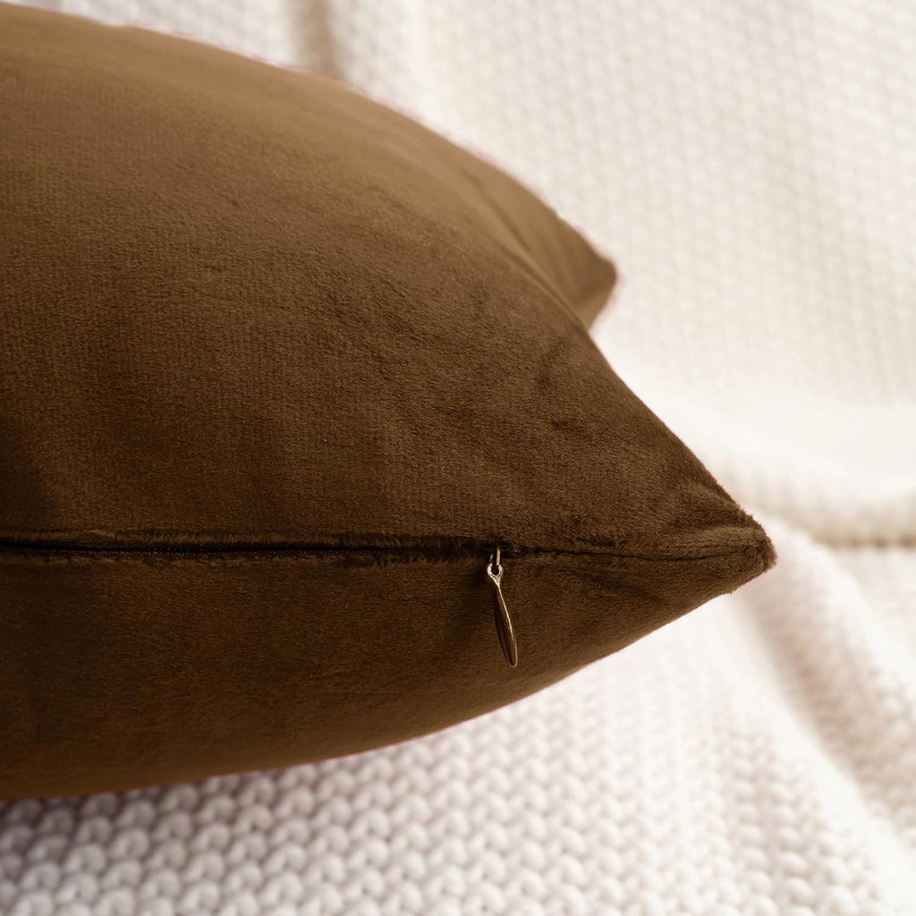 HWY 50 Coffee Velvet Throw Pillow Covers 22x22 Inch, Pack of 2 Soft Cozy Solid Decorative Luxury Cushion Cases for Couch Sofa Bed Living Room Bedroom