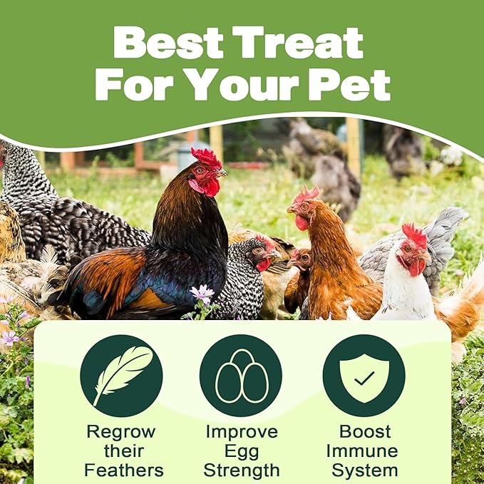 5LB Dried Black Soldier Fly Larvae, 86X Calcium Than Dried Mealworms, High Protein Non-GMO Organic Chicken Feed Reptile & Amphibian Food