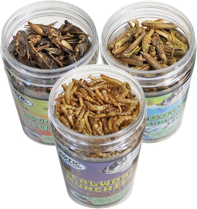 Exotic Nutrition Dried Insect 3 Pack - Crickets, Grasshoppers, Mealworms - for Sugar Gliders, Hedgehogs, Wild Birds, Chickens, Turtles, Tropical Fish, Reptiles