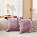 Luxurious Velvet Throw Pillow Covers 20x20 Set of 2 Decorative Pillow Covers Solid Square Cushion Case for Sofa Couch Bedroom Farmhouse, Mauve