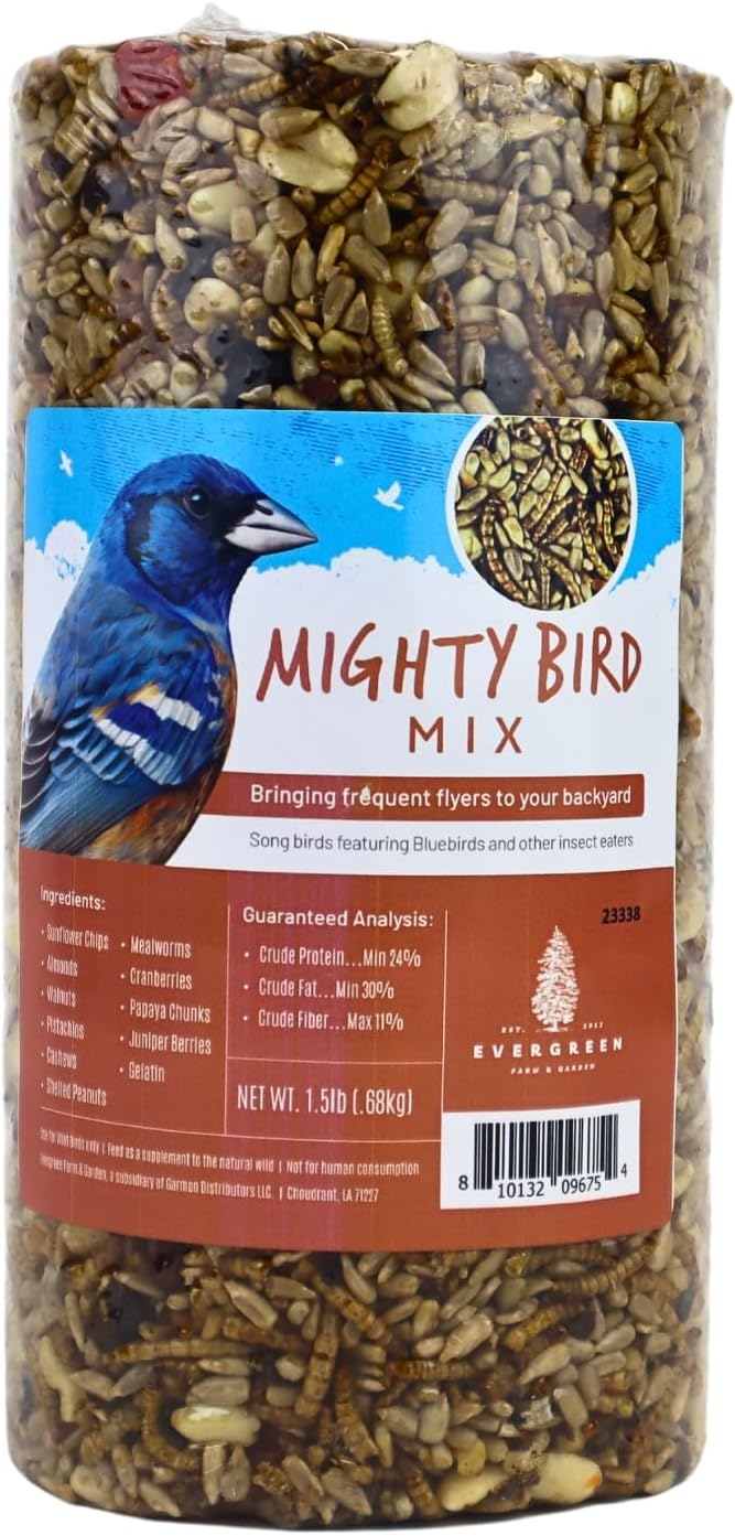 Birdseed Cylinders with Hole - Bird Seed for Outside Wild Birds (Small Cylinder, Mighty Bird Mix 1pc)