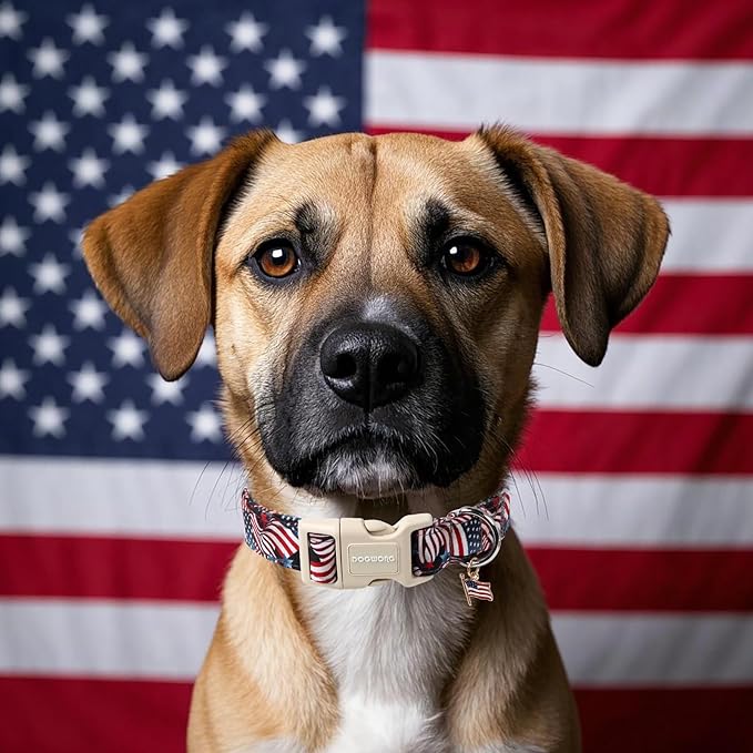 DOGWONG Patriotic Flag Dog Collar, 4th of July American Flag Dog Collars, Adjustable Cute Patriotic Pet Collars Fourth of July Design Dog Collar for Small Medium Large Dogs