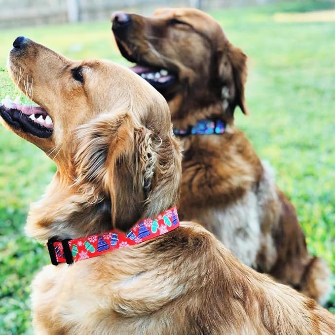 Lucky Love Dog - Adjustable Dog Collar with Easy Click Buckle for Small to Large Ones, Durable, & Comfortable for Male & Female Dogs, Pet Collar for Puppies & Adult Dogs - Chilly, Small