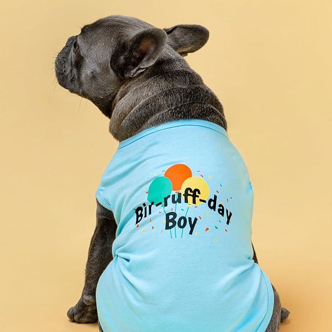 Fitwarm Birthday Boy Dog Shirt, Bir-Ruff-Day Boy Funny Dog Clothes for Small Dogs Boy, Pet Birthday Outfit, Cat Tshirt, 100% Breathable Cotton, Aqua Blue, Medium
