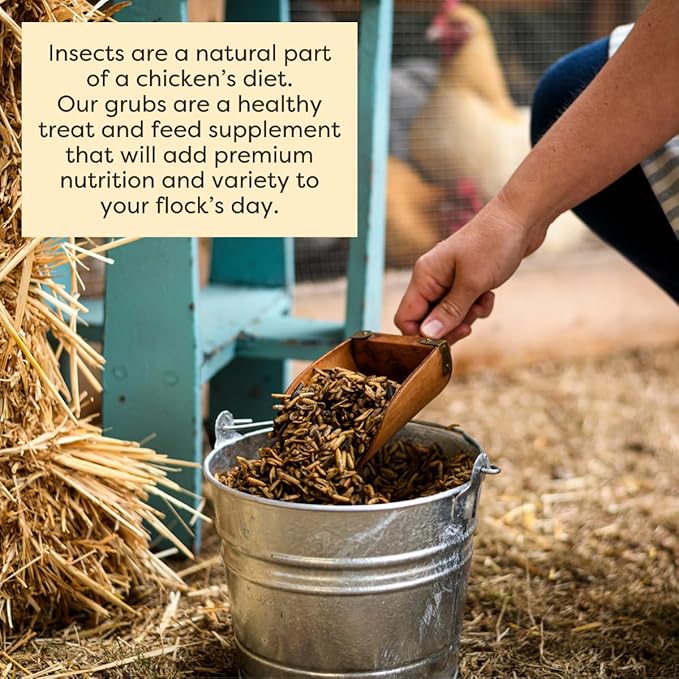 Scratch and Peck Grubs for Chickens and Ducks - 3.5 lbs Bag - Sustainably Sourced - Naturally High Protein, Calcium Dense - Dried Black Soldier Fly Larvae Bird Treats