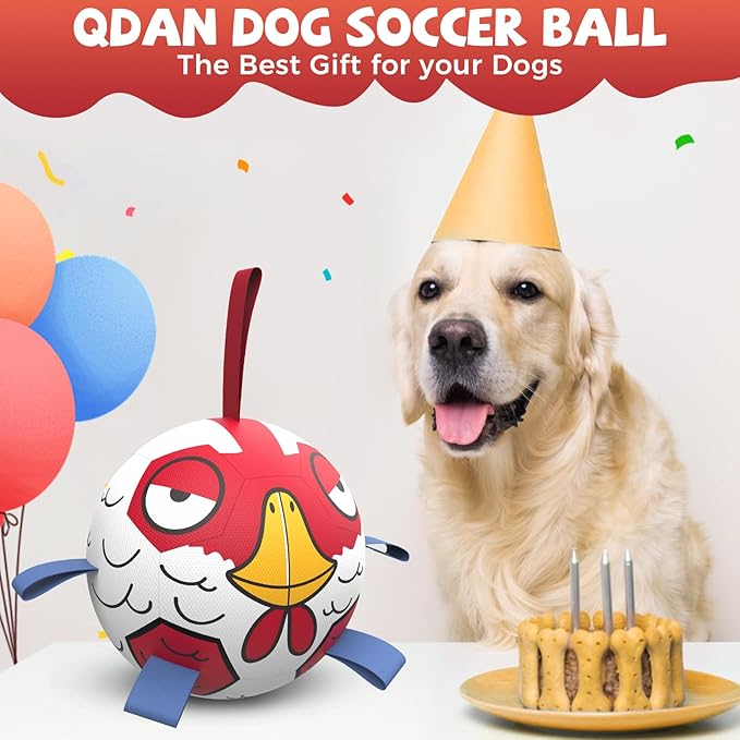 QDAN Dog Balls Toys, Outdoor Dog Toys, Dog Soccer Balls with with Straps, Premium Pet Puppy Birthday Gifts for Small Medium Dogs, 6 Inch, Chicken Ball