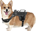Small Dog Harness, Heavy Duty Tactical No Pull Dog Harness, No Choke, Easy On and Off Pet Vest with Molle System, Adjustable Reflective Dog Vest with Breathable Padded for Walking Hiking Training