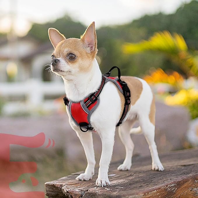 Eagloo Small Dog Harness No Pull, Service Vest with Reflective Strips and Control Handle, Adjustable and Comfortable for Easy Walking, No Choke Pet Harness with 2 Metal Rings, Red, XS