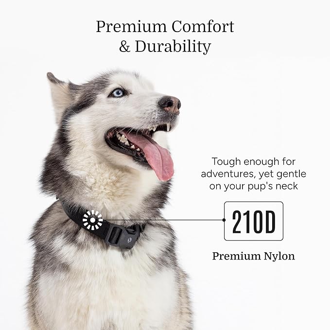 2025 New Edition, Fei & Eve MagEase Dog Collar - Patented Magnetic Buckles | Fur-Safe | Premium 210D Nylon | 450LB Escape-Proof | Adjustable Fit | Large (Black)