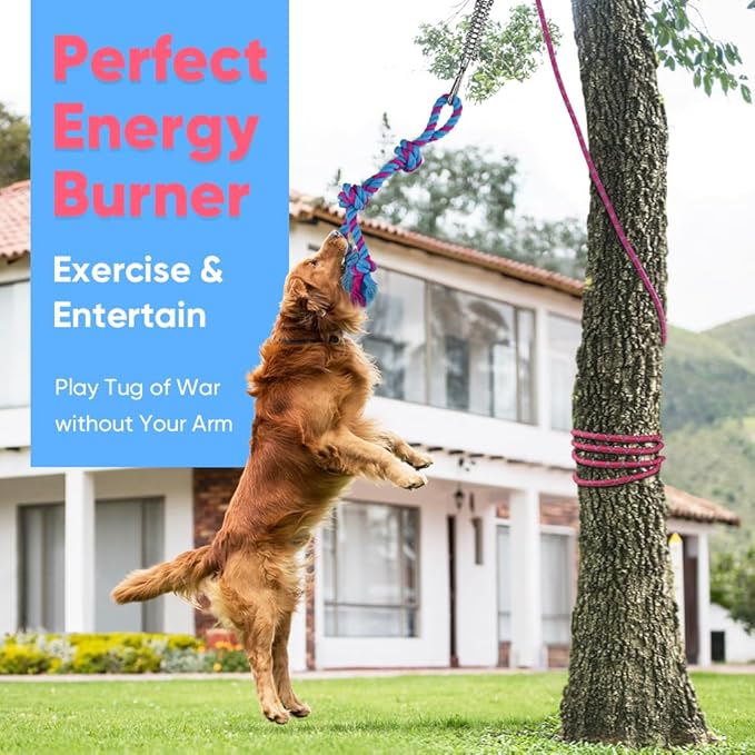 Petbobi Bungee Dog Toy, Outdoor Dog Tug Toy for Pitbull Interactive Exercise, Spring Pole Tug-of-War Toy with Durable Rope, Hanging Toy for Large Dogs to Reduce Boredom, Purple