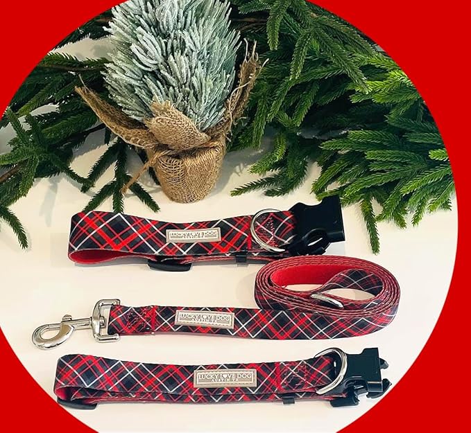 Lucky Love Dog - Adjustable Dog Collar with Easy Click Buckle for Small to Large Ones, Durable, & Comfortable for Male & Female Dogs, Pet Collar for Puppies & Adult Dogs - Heywood, Small