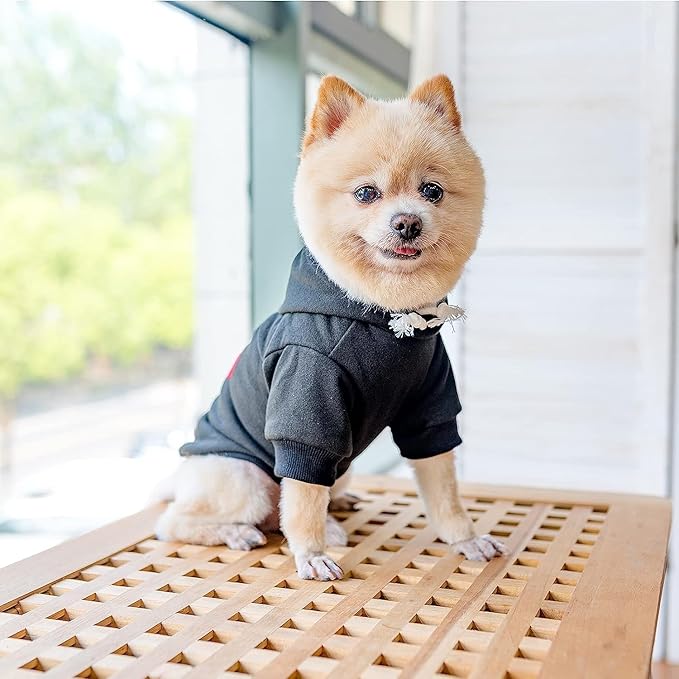 KOOLTAIL Plaid Dog Hoodie Pet Clothes Sweater with Hat and Pocket for Small Medium Large Size Dogs, Soft Winter Warm Dog Cold Weather Coat, Fleece Fall Dog Hooded Sweatshirt for Puppy Cats, Black SM