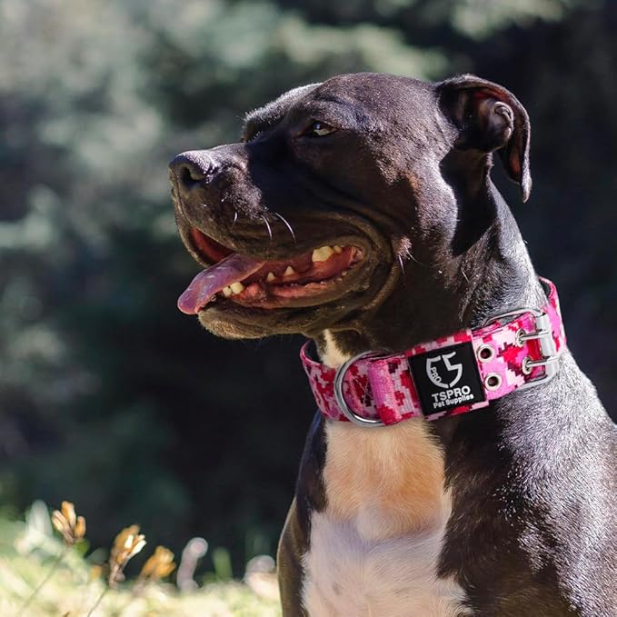 TSPRO Tactical Dog Collar, Adjustable, with Patch & Double Needle Metal Buckle, Heavy Duty for Large to Extra Large Dogs, Durable for Walking, Running, Hiking & Training (Camo Green L-XL)