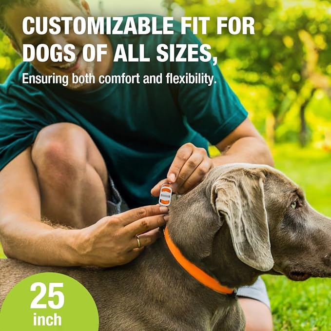 EcoVenger Flea & Tick Collar Repellent 2-Pack Orange, Fits Both Dogs & Cats, Built-in Pant-Based Formula Strong Repellency Slow Release, Lasting Deterrence and Protection, Pleasant Aroma, Waterproof