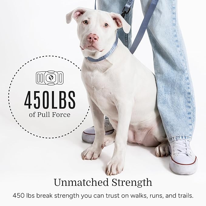 2025 New Edition, Fei & Eve MagEase Dog Collar - Patented Magnetic Buckles | Fur-Safe | Premium 210D Nylon | 450LB Escape-Proof | Adjustable Fit | Large (Dusk Blue)