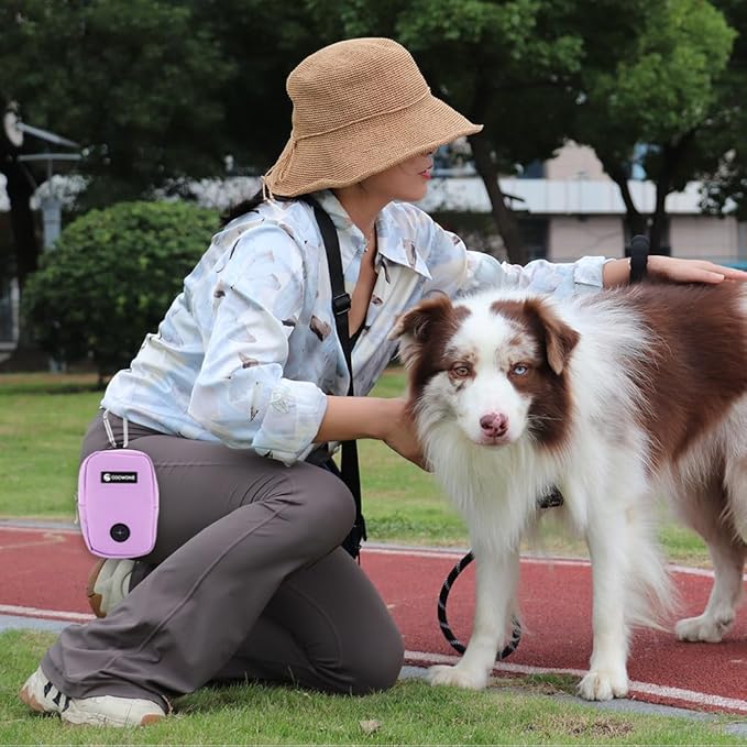 COOWONE Small Treat Pouch with Dog Bags Dispenser, Portable Walking Bags, Purple