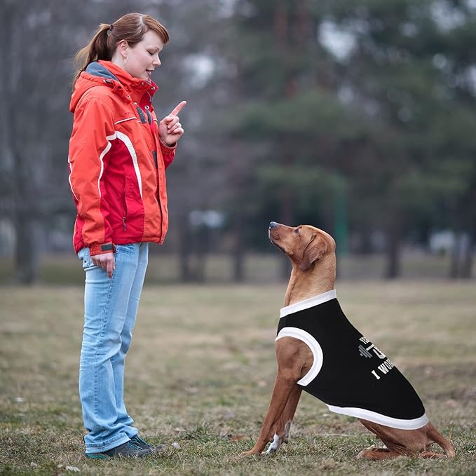 12 Pieces Dog Shirts Pet Printed Clothes with Funny Letters Summer Pet T Shirts Cool Puppy Vest Breathable Dog Outfit Soft Cat Sweatshirt for Chihuahuas Cats Accessories, 12 Styles(X-Large)