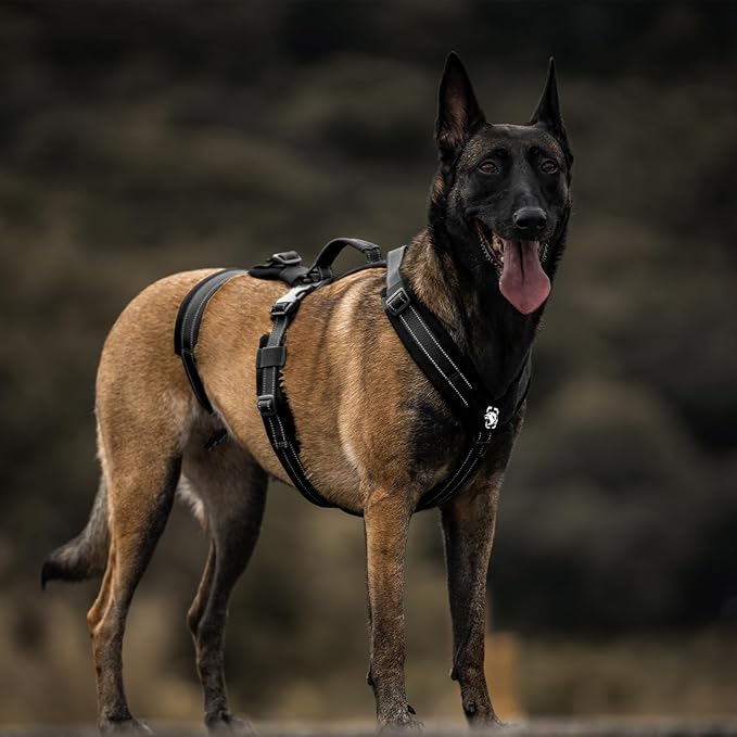 OneTigris Dog Harness No Pull, Adjustable Tactical Harness with Soft Padding, Y-Shaped Reflective Easy Walk Dog Harness for Medium and Large Dogs