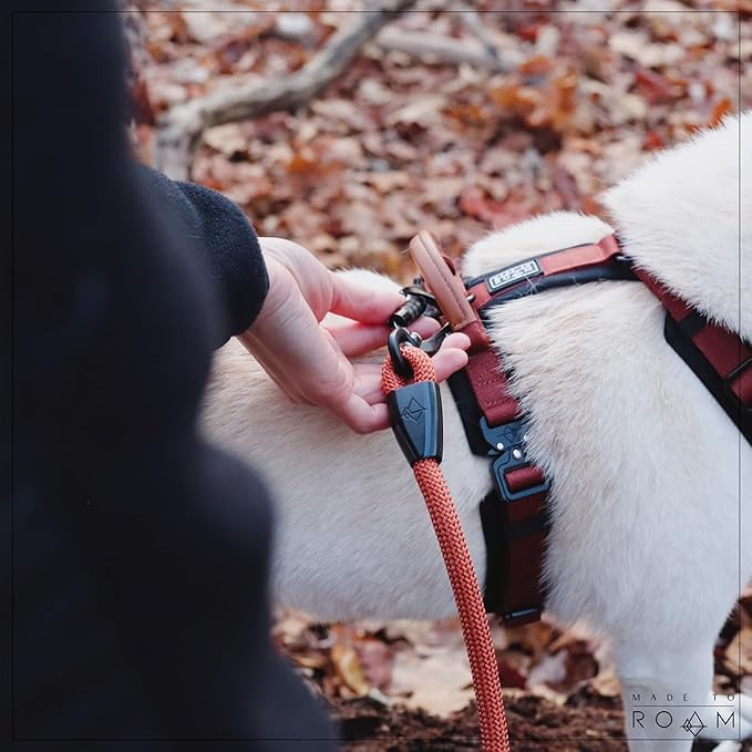 MADE TO ROAM Premium Explorer Harness - Y-Shaped Dog Harness with Adjustable Durable Nylon, Soft Padding, Metal Buckles and Leather Handle for Small, Medium, Large Dogs (Carolina Blooms, Size 5)