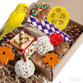 Parakeet Toys, Bird Toy Conure Grass Mat Budgie Shredder Hanging Set Cockatiel Foraging Toys Parrot Climbing Wall Toy Lovebird Cage Accessories for Small Birds (Colorful-Cockatiels Box Toys)