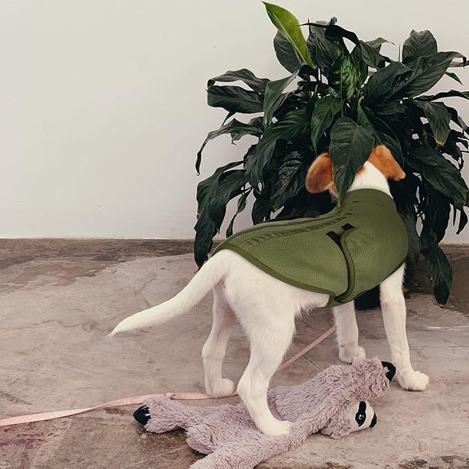 Queenmore Small Dog Sweaters, Soft Fleece Vest Pullover Dog Jacket with Leash Hole, Warm Winter Dogs Clothes Cold Weather Doggy Dachshund Sweater for Small Dogs Cats Boy or Girl (Army Green, XS)