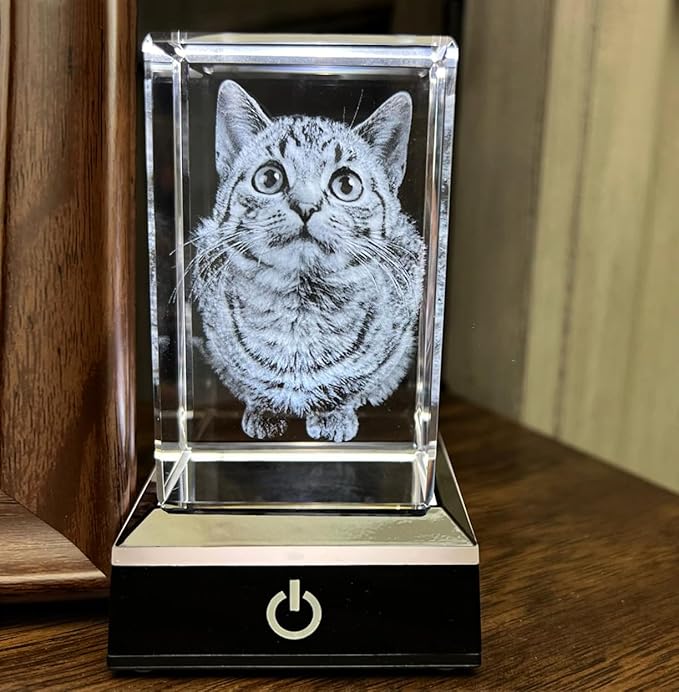 3D Crystal Photo, Personalized Dog, Cat Memorial Gifts for Pet Owners. Gift Box Included, Customized Laser Etched Crystal Photo (Small Landscape)