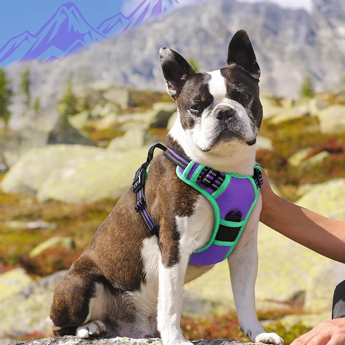 Eagloo Dog Harness Medium Sized Dogs, No Pull Service Vest with Reflective Strips and Control Handle, Adjustable and Comfortable for Walking, No Choke Harness with 2 Metal Rings, Purple & Green, M