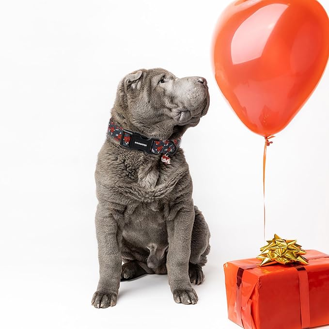 DOGWONG Valentine's Day Dog Collar, Cute Heart Dog Collars, Adjustable Valentine Red Heart Pet Collars Design Dog Collar with Quick Release Buckle for Puppy Girl Boy Female Dogs