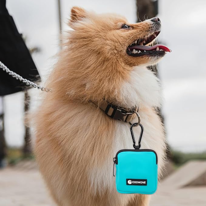 COOWONE Dog Treat Pouch Pocket Sized Pet Puppy Training Pouch for Dog Training Behavior Aids, Waterproof Nylon Fabric Dog Poop Bag Holder, Hands Free Dog Walking Bag with Metal Carabiner(Lake Green)