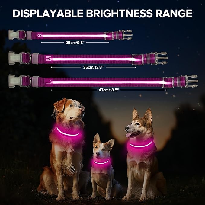 Light Up Dog Collar, Adjustable USB Rechargeable Glow in Dark Dog Collar ，Waterproof Dog Collars for Large Dogs (Pink, Large)