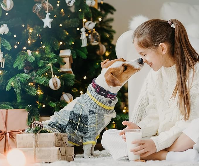 DOGWONG Christmas Cotton Dog Collar, Blue Tartan Christmas Dog Collar Durable Soft Fabric Pet Dog Collars Cute Blue Plaid Puppy Necklace for Small Medium Large Dogs