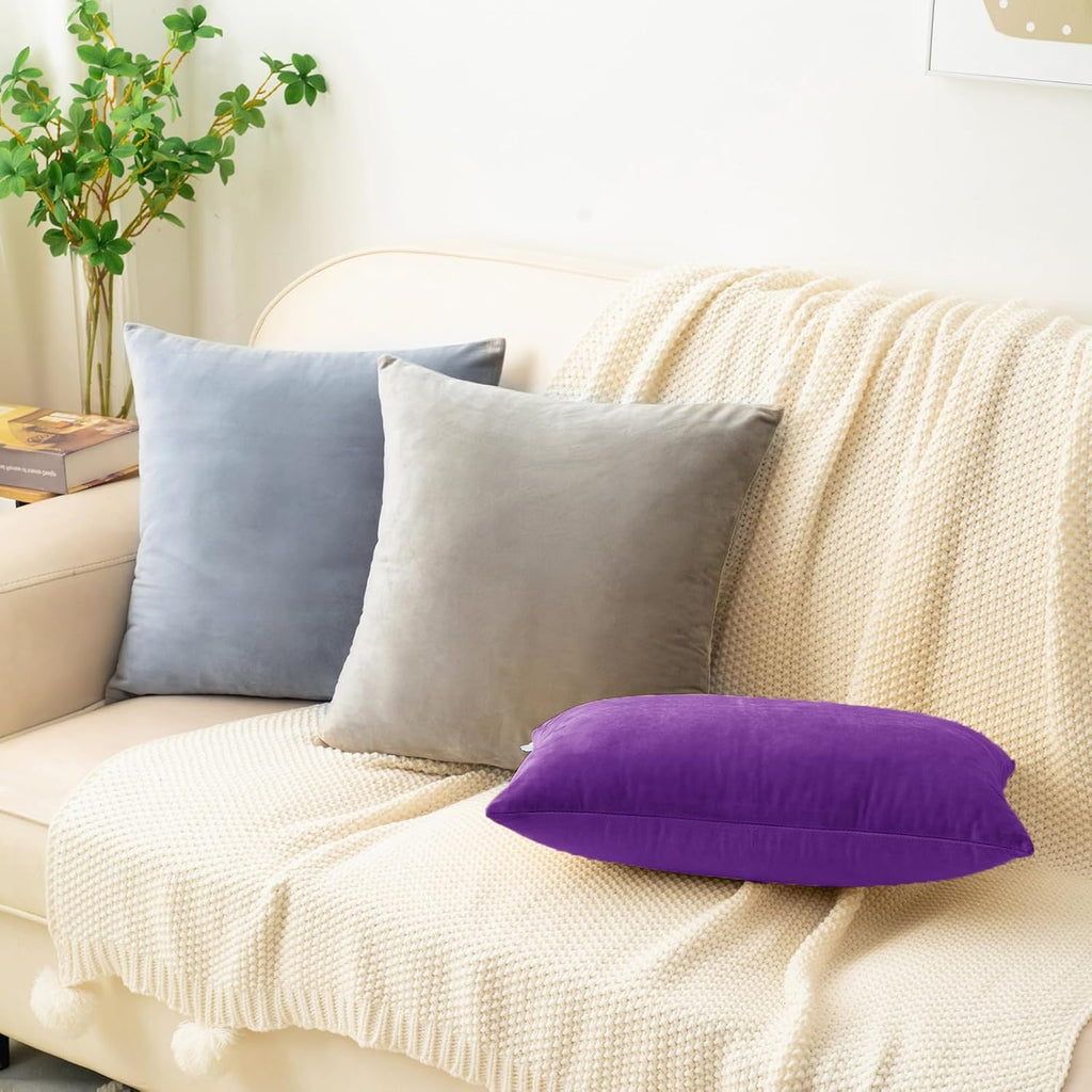HWY 50 Purple Velvet Throw Pillow Covers 16x16 Inch, Pack of 2 Soft Cozy Solid Decorative Luxury Cushion Cases for Couch Sofa Bed Living Room Bedroom